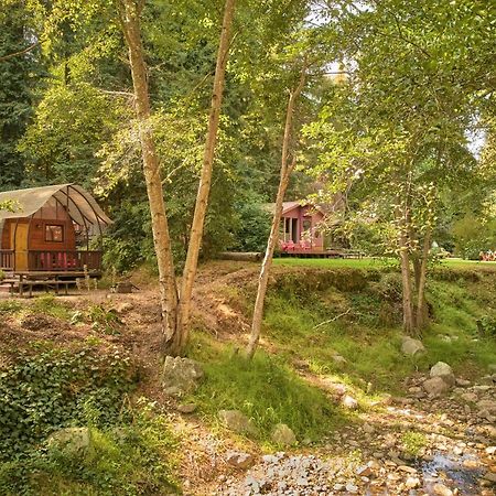 Big Sur Campground And Cabins 外观 照片