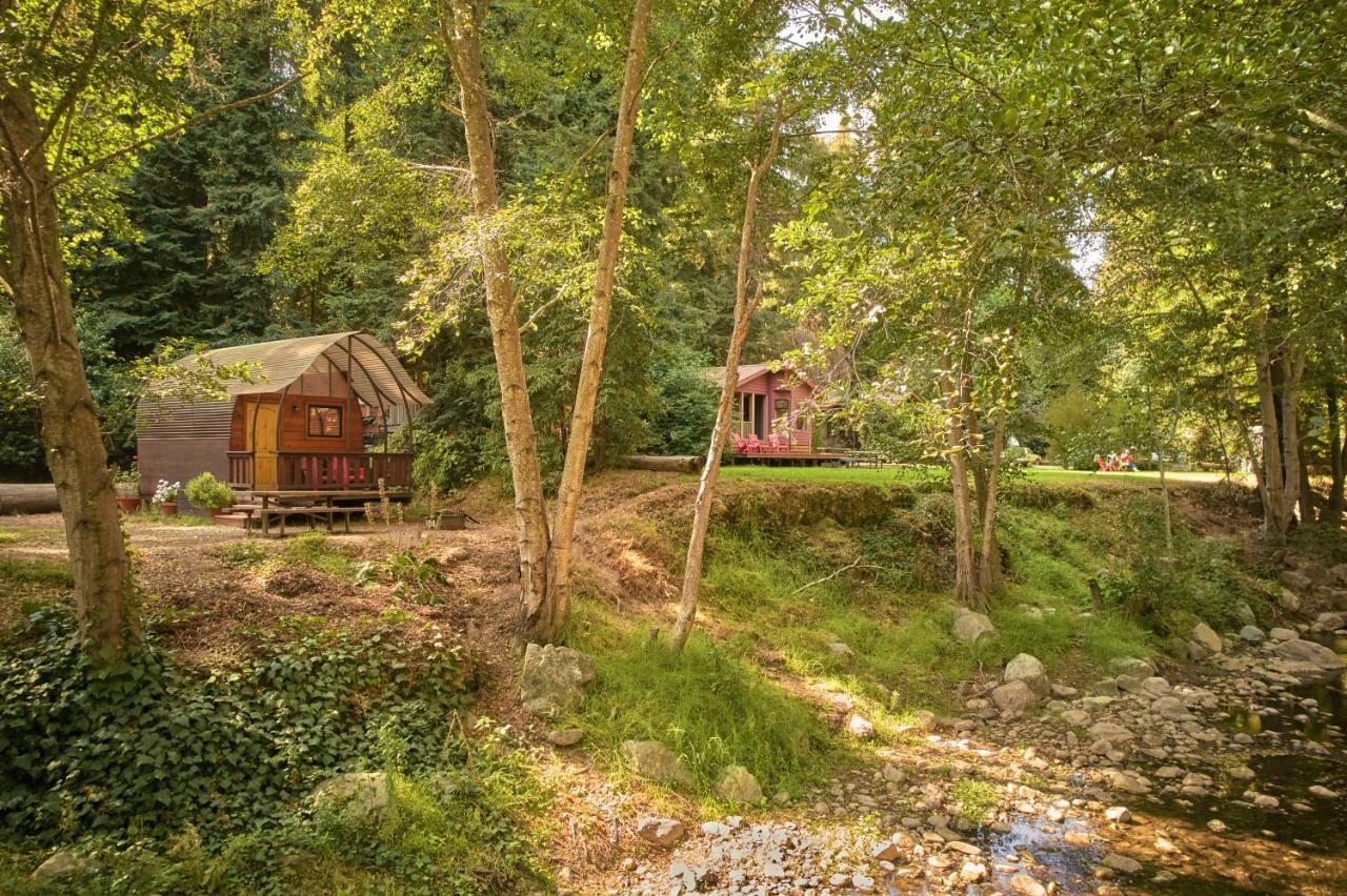Big Sur Campground And Cabins 外观 照片